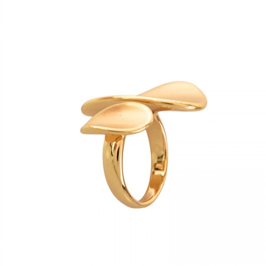 Anel Duo Orgânico Banhado Em Ouro 18k